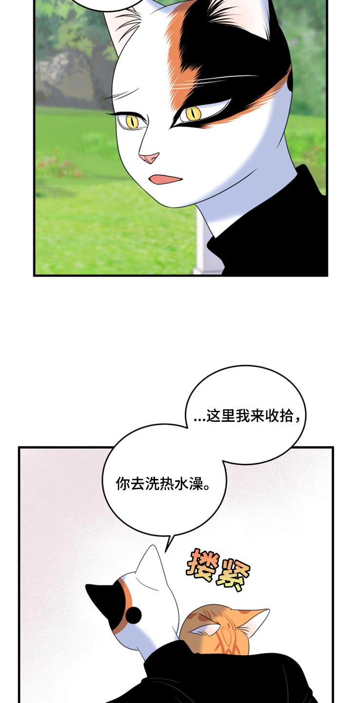 灵猫欧米伽漫画在线观看画涯漫画,第90话1图