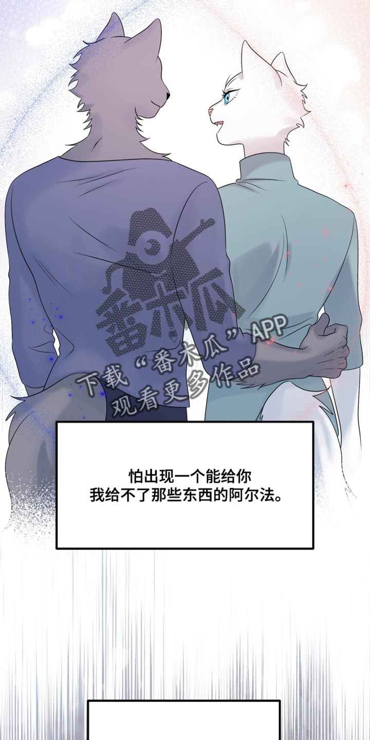 灵猫欧米伽在线免费看漫画漫画,第155话1图