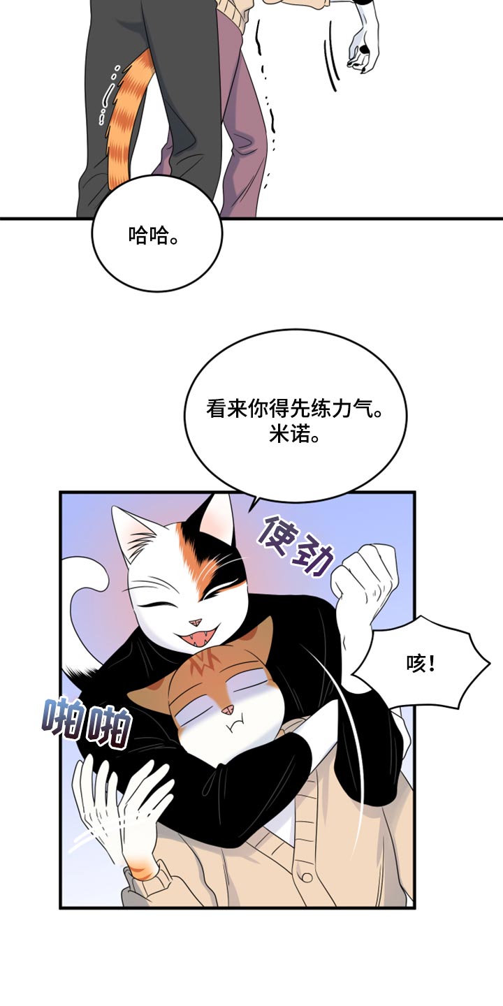 灵猫欧米伽免费漫画,第87话2图