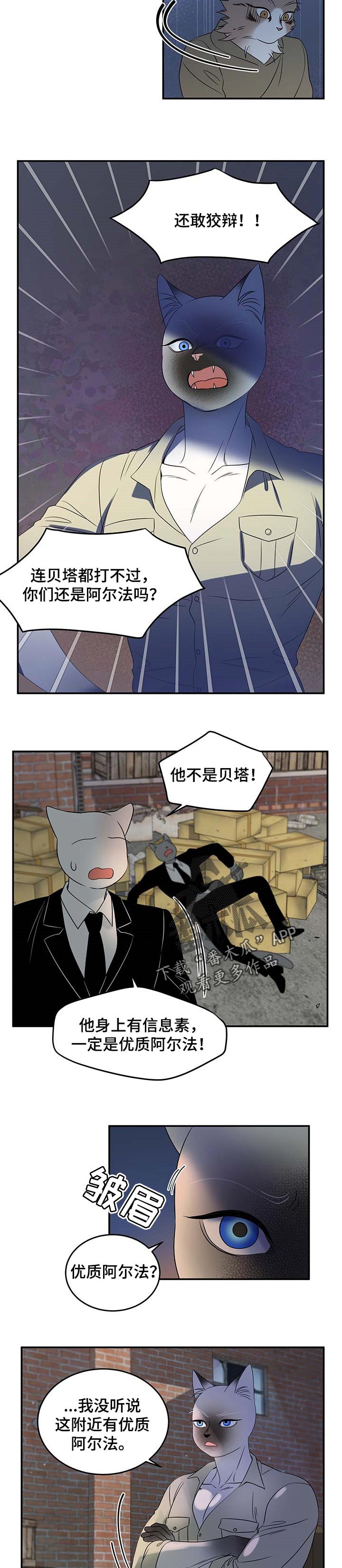 灵猫科和猫科的区别漫画,第31话1图