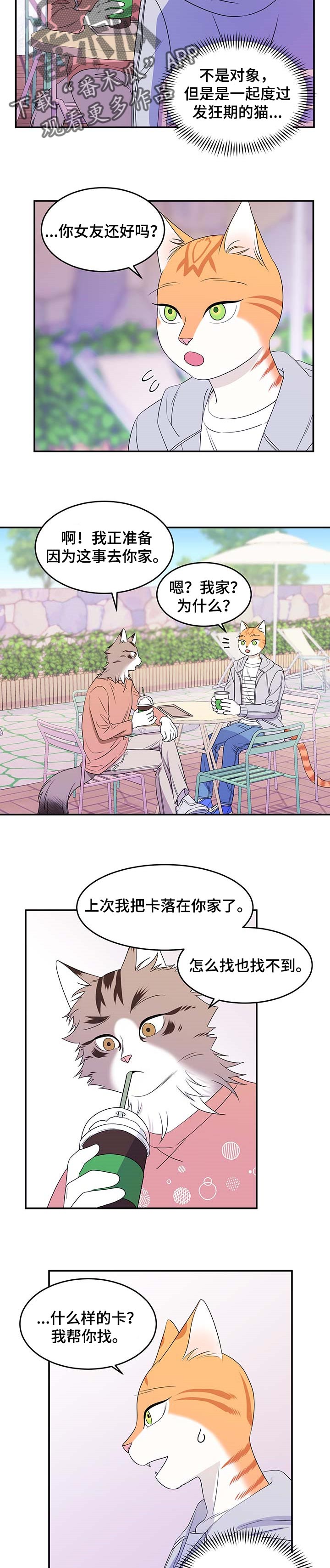 灵猫动画漫画,第18话1图