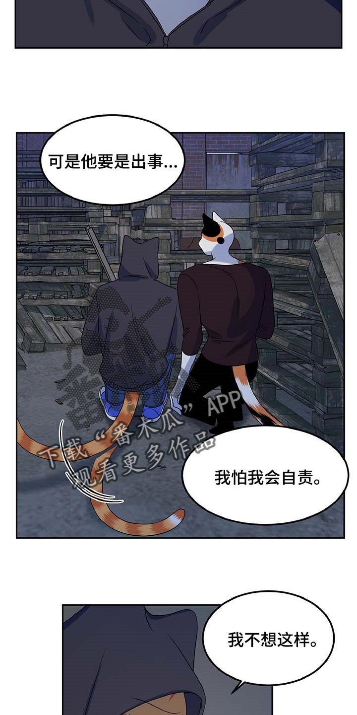 灵猫欧米伽视频漫画,第37话2图