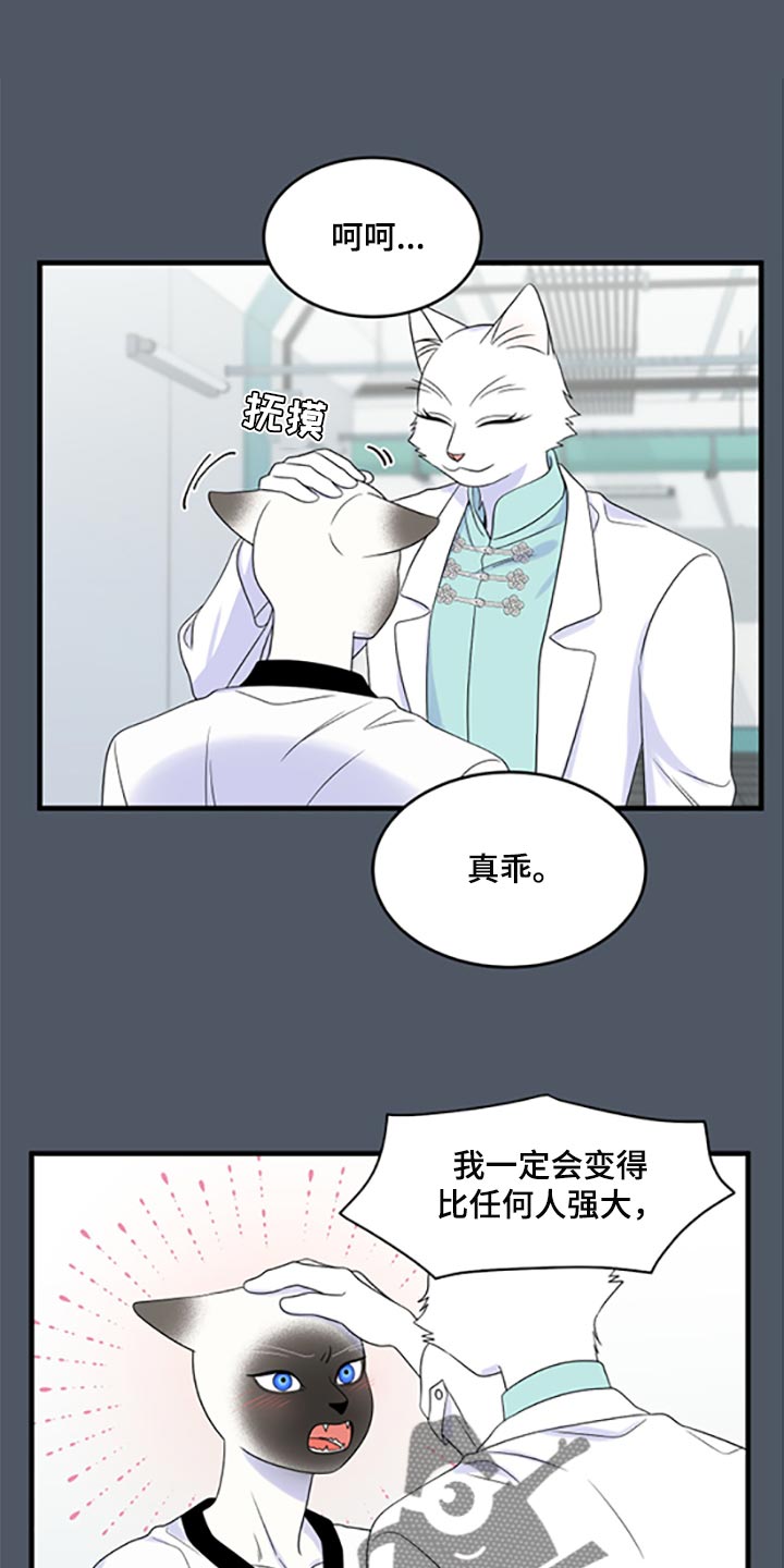 灵猫欧米伽漫画,第78话1图