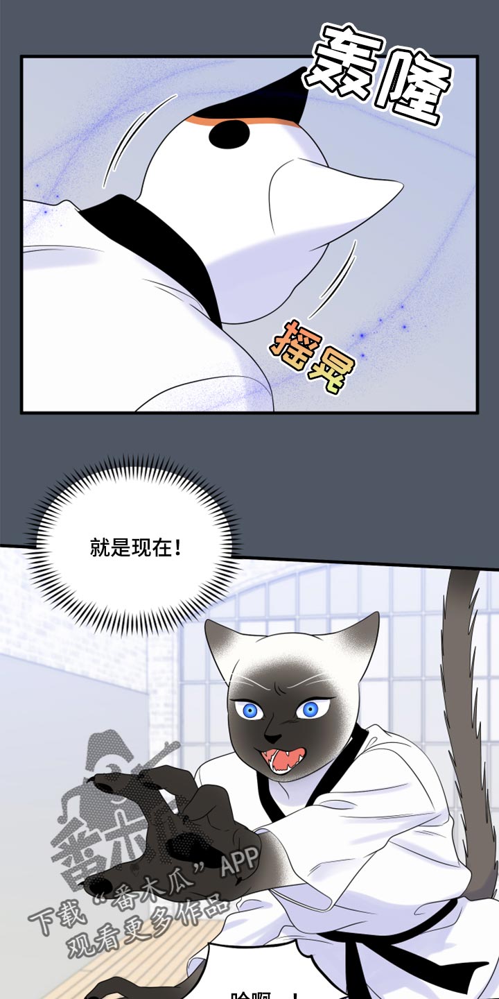 灵猫传歌曲漫画,第76话2图