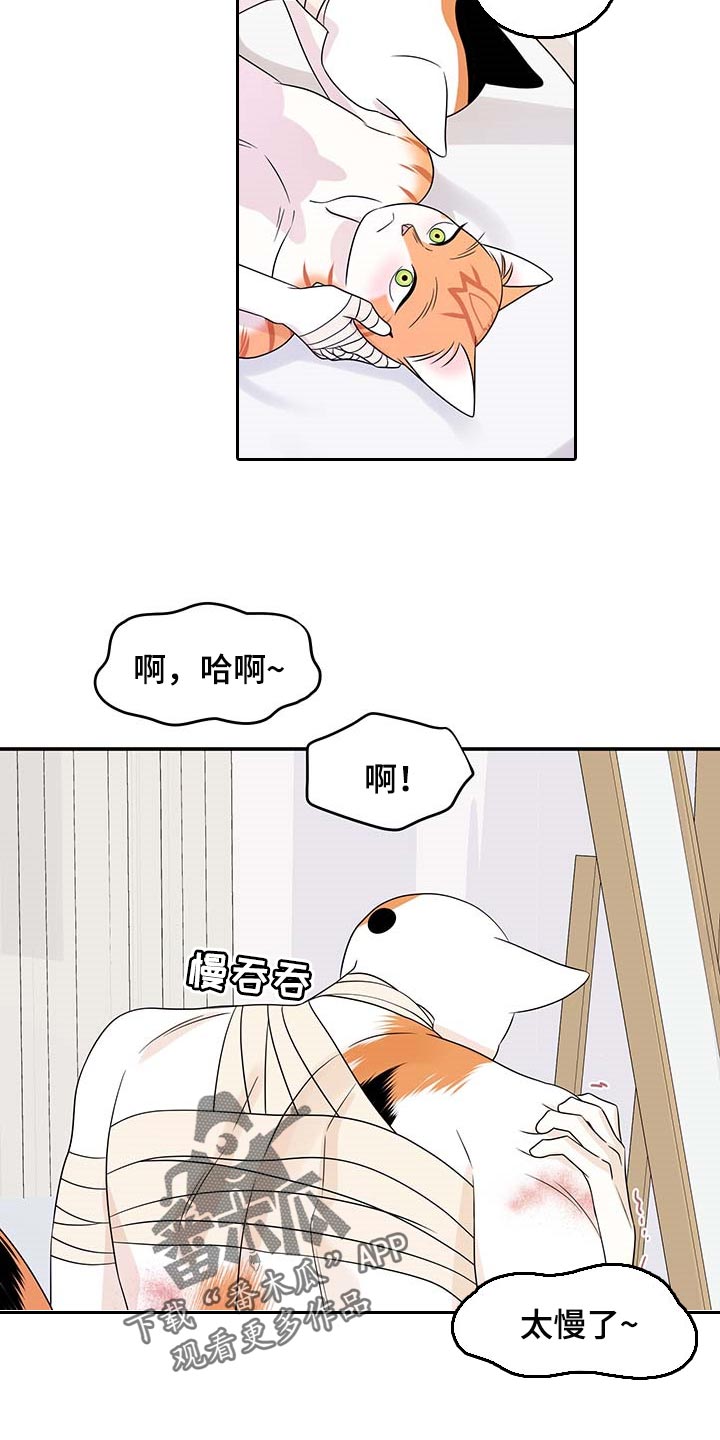 灵猫欧米伽什么时候更新第三季漫画,第47话2图