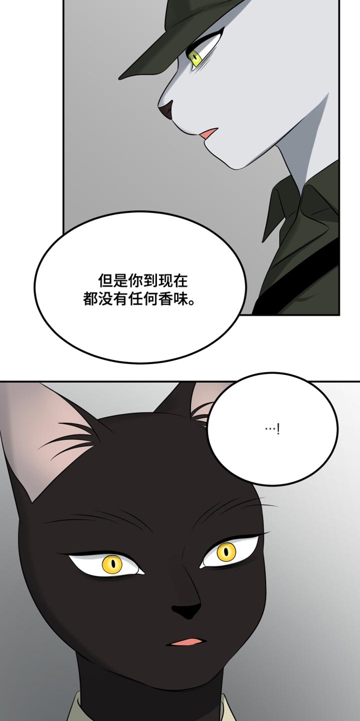 灵猫欧米伽漫画免费双男主漫画,第151话1图