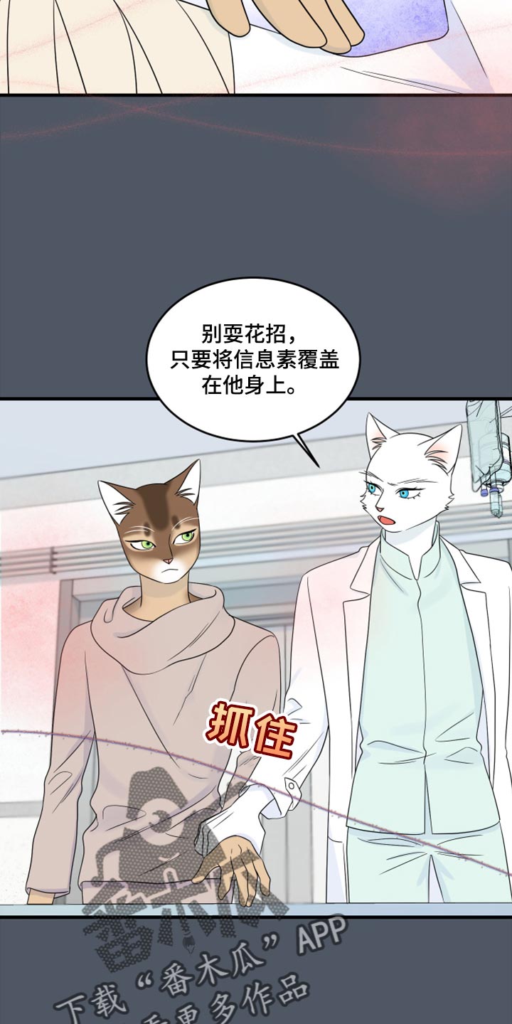 灵猫欧米伽3漫画,第86话2图