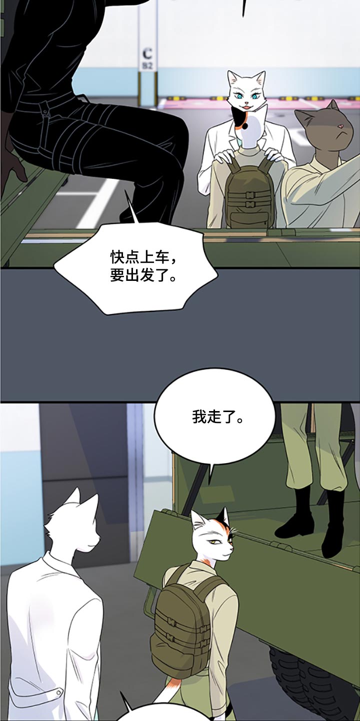 灵猫欧米茄画涯漫画,第79话1图