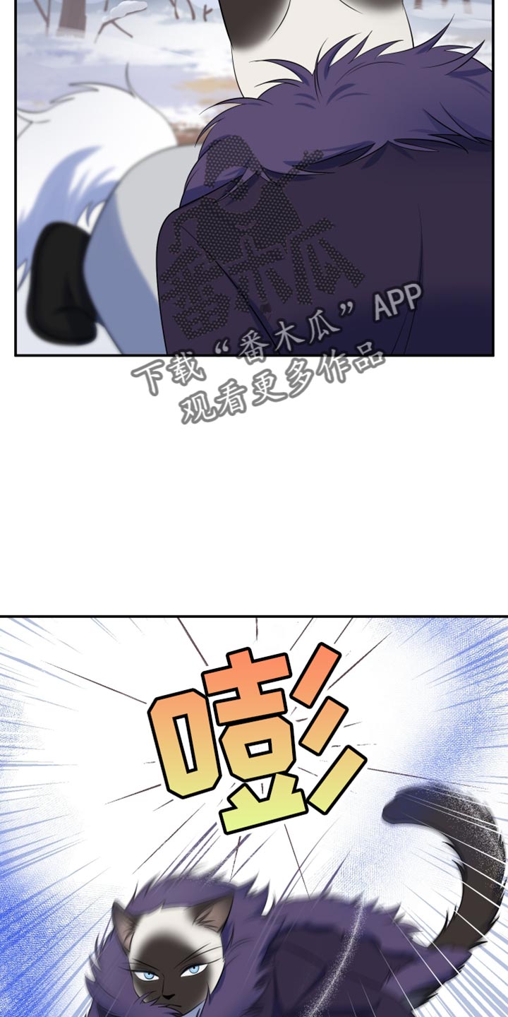 灵猫动漫漫画,第147话1图