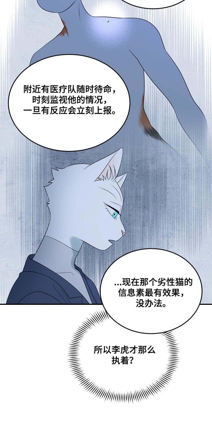 灵猫欧米伽又叫什么漫画,第167话1图