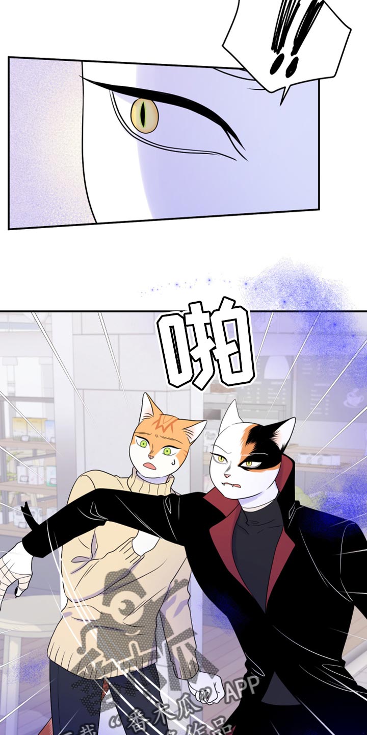 灵猫欧米伽免费版在哪里看漫画,第49话1图