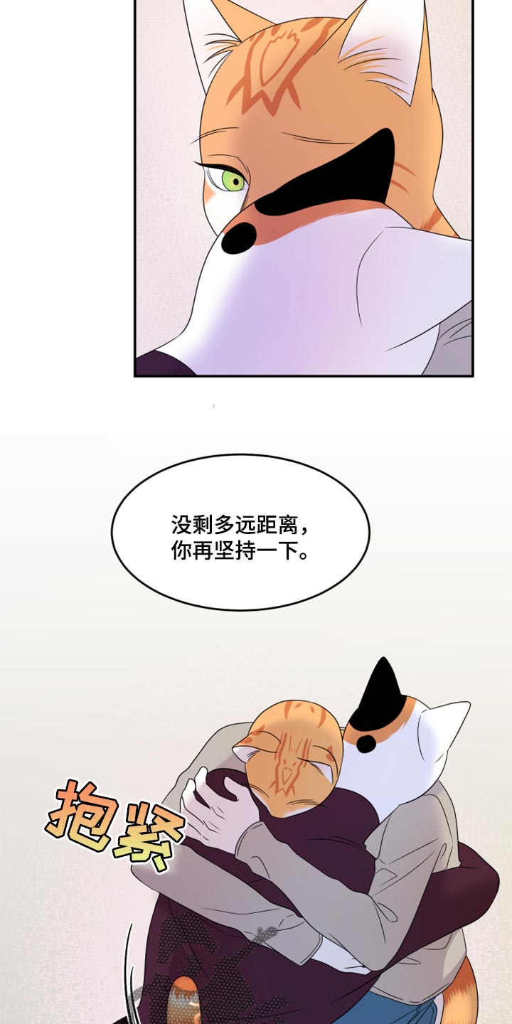 灵猫欧米伽免费阅读漫画,第55话1图