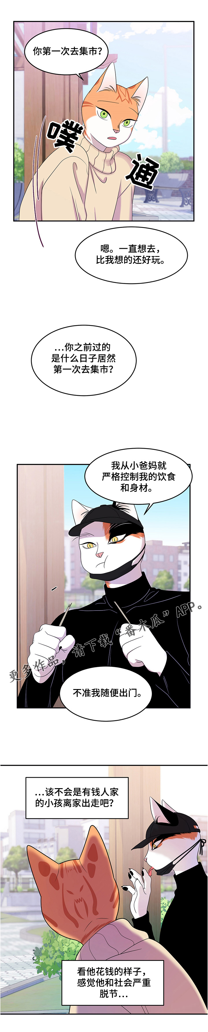 灵猫传汪苏泷漫画,第9话2图