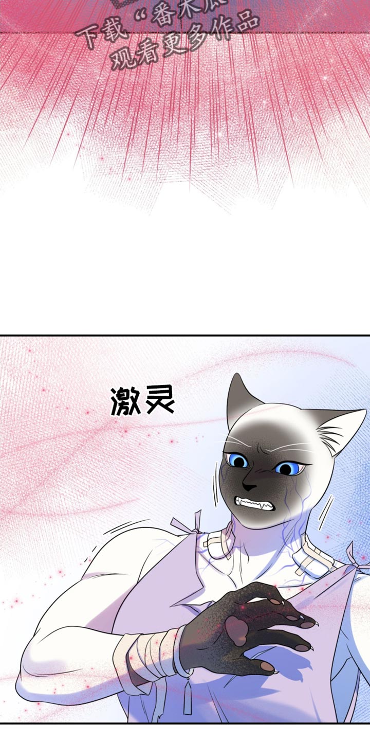 欧米伽3对猫的作用漫画,第130话1图