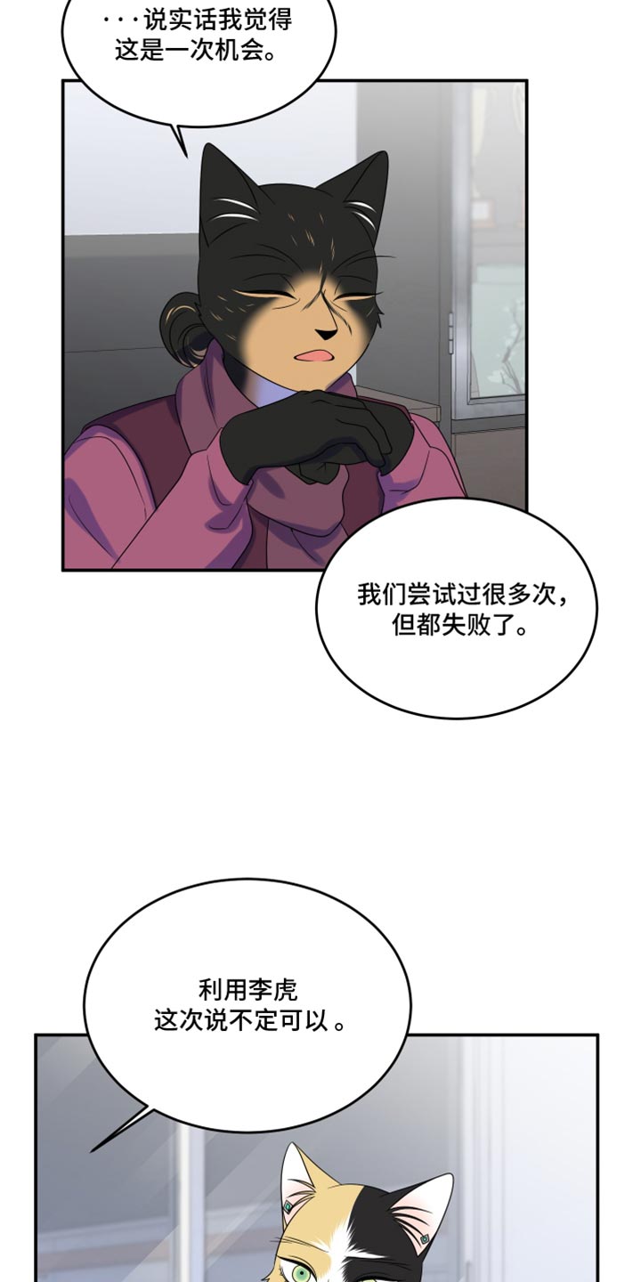 灵猫传汪苏泷漫画,第115话2图