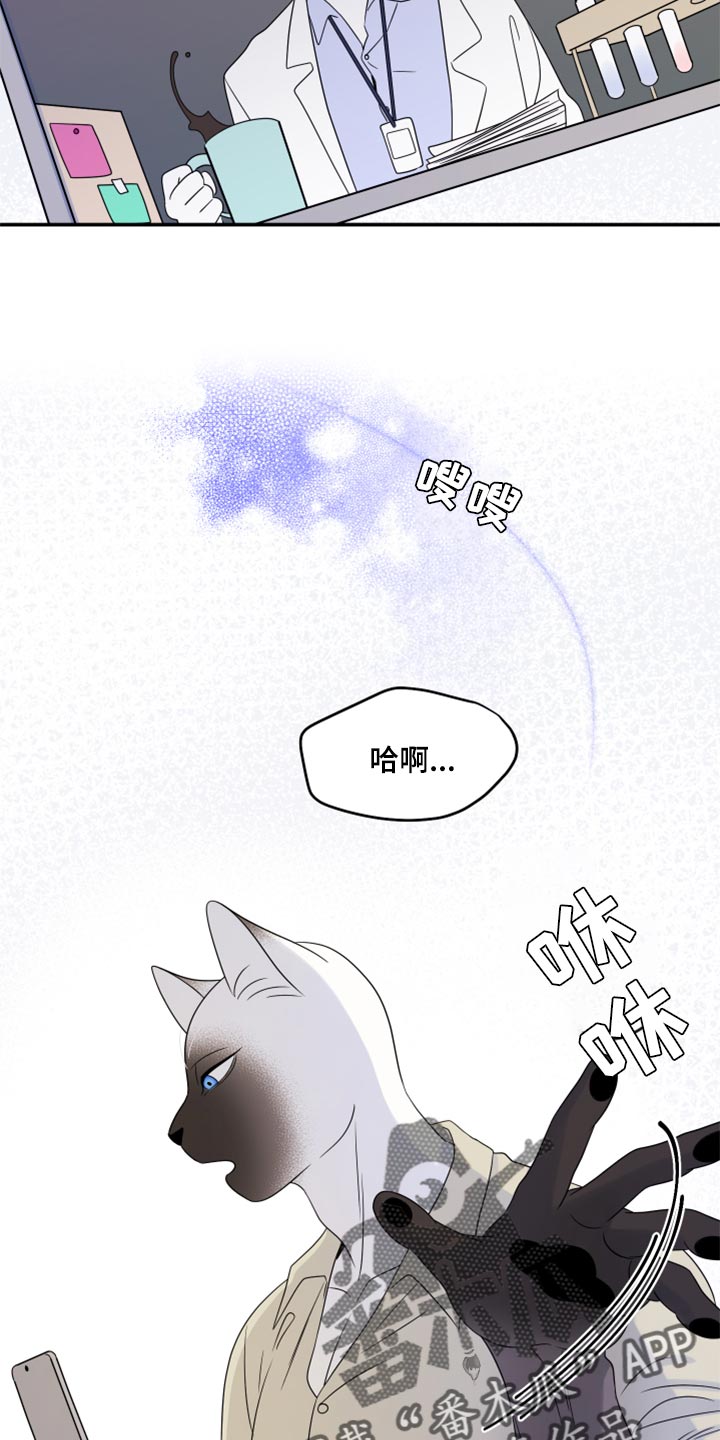 灵猫欧米伽漫画免费漫画,第56话1图