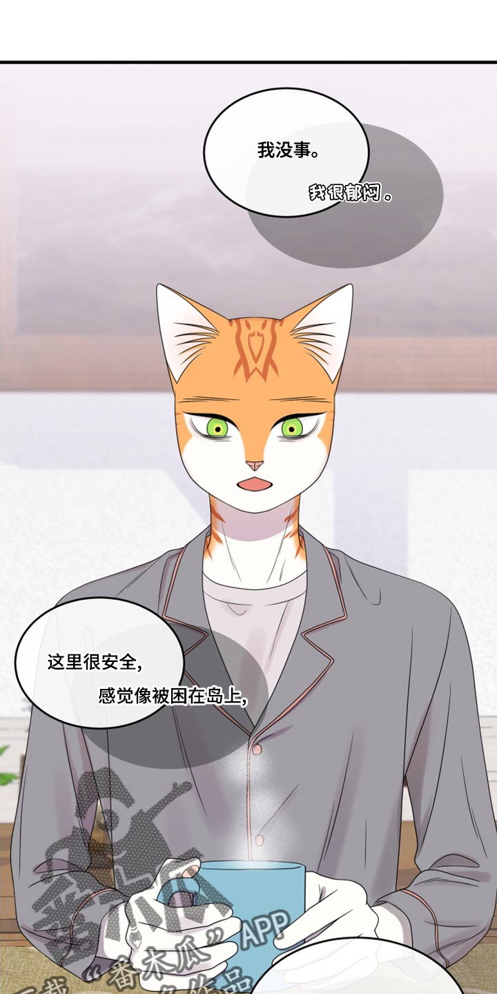 灵猫一起画画画漫画,第100话1图