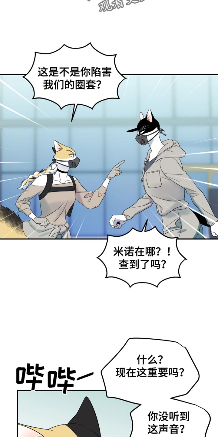 灵猫欧米伽漫画在哪里看漫画,第127话1图