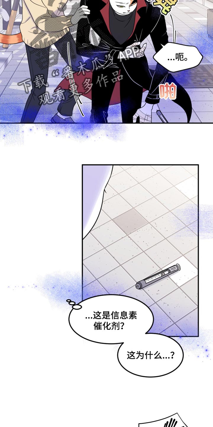 灵猫欧米伽2漫画,第49话2图