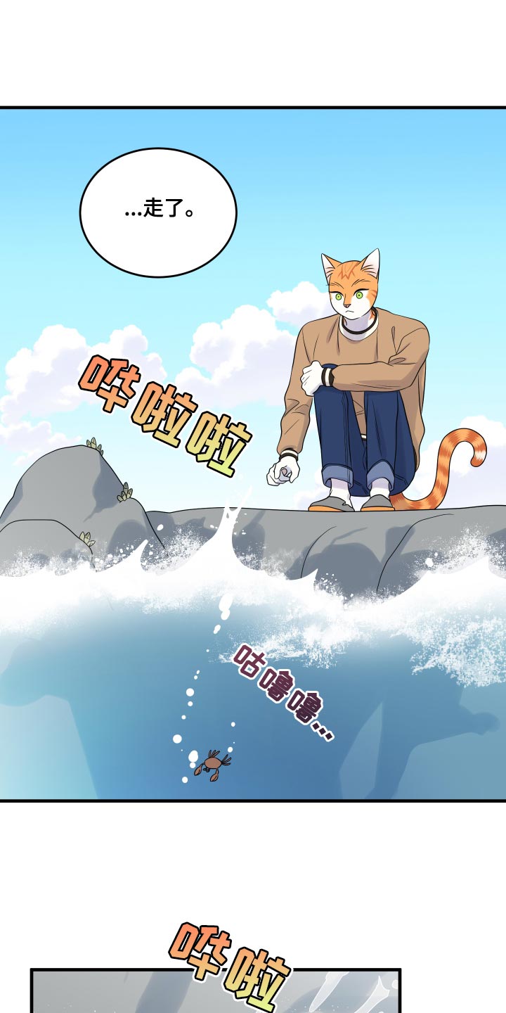 灵猫欧米伽漫画免费观看漫画,第96话1图