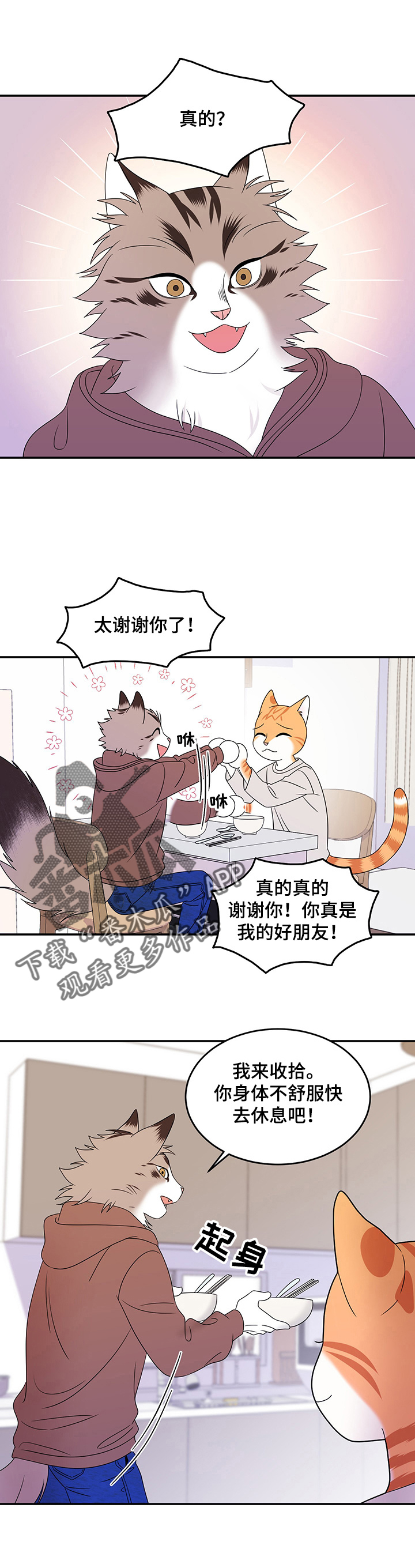 灵猫欧米伽漫画下拉漫画,第6话2图