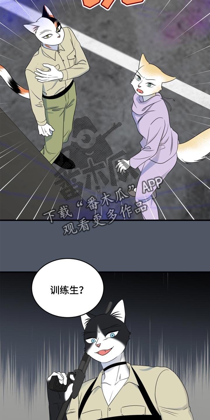 灵猫欧米伽完整版漫画,第83话2图