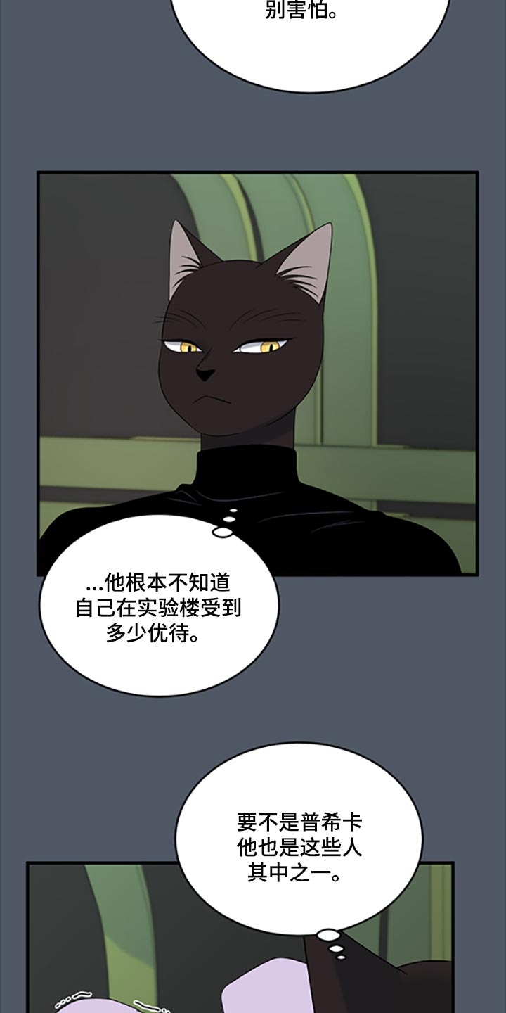 灵猫欧米伽完整版漫画,第80话2图