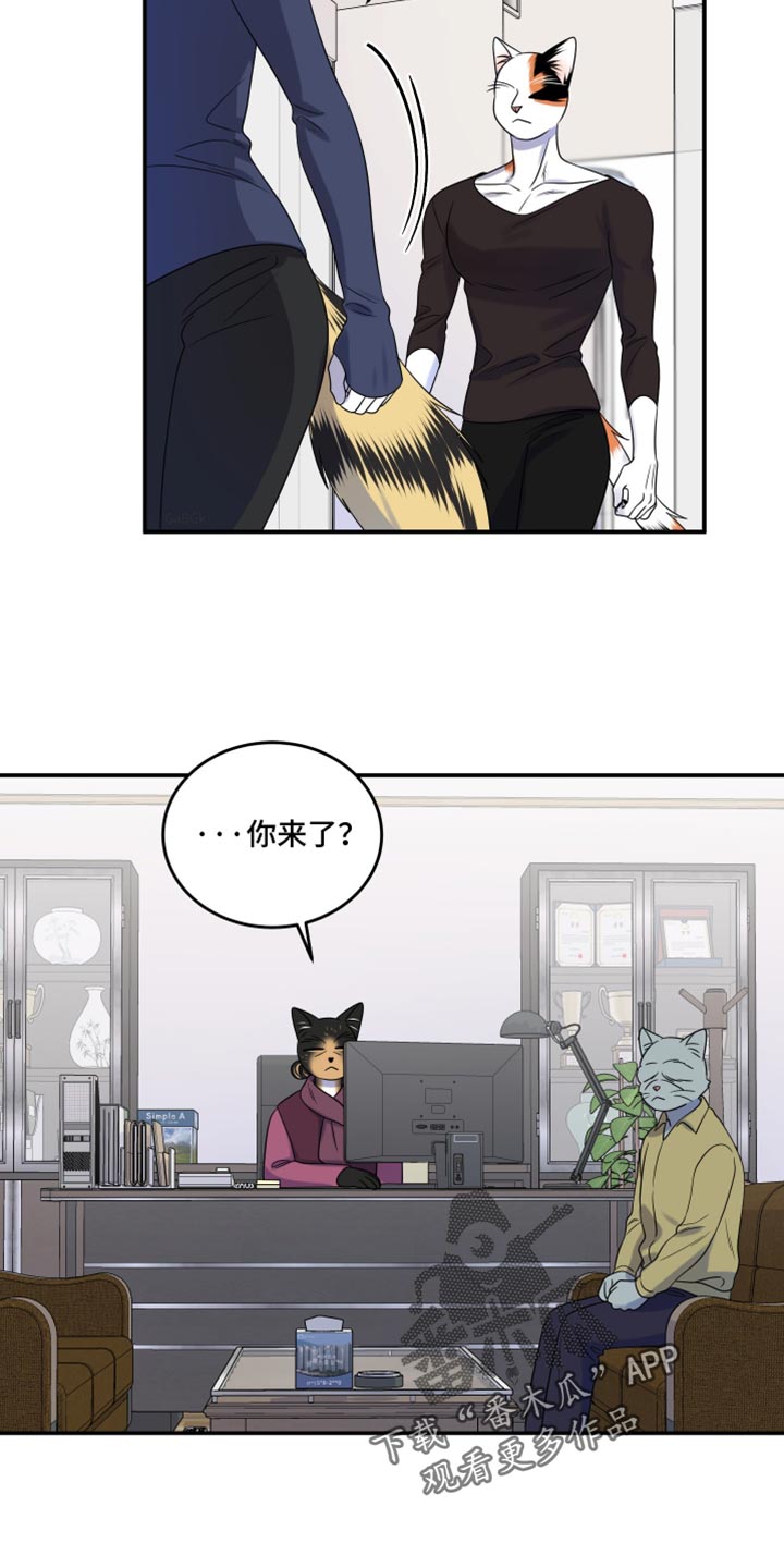 灵猫欧米伽免费阅读漫画,第117话1图