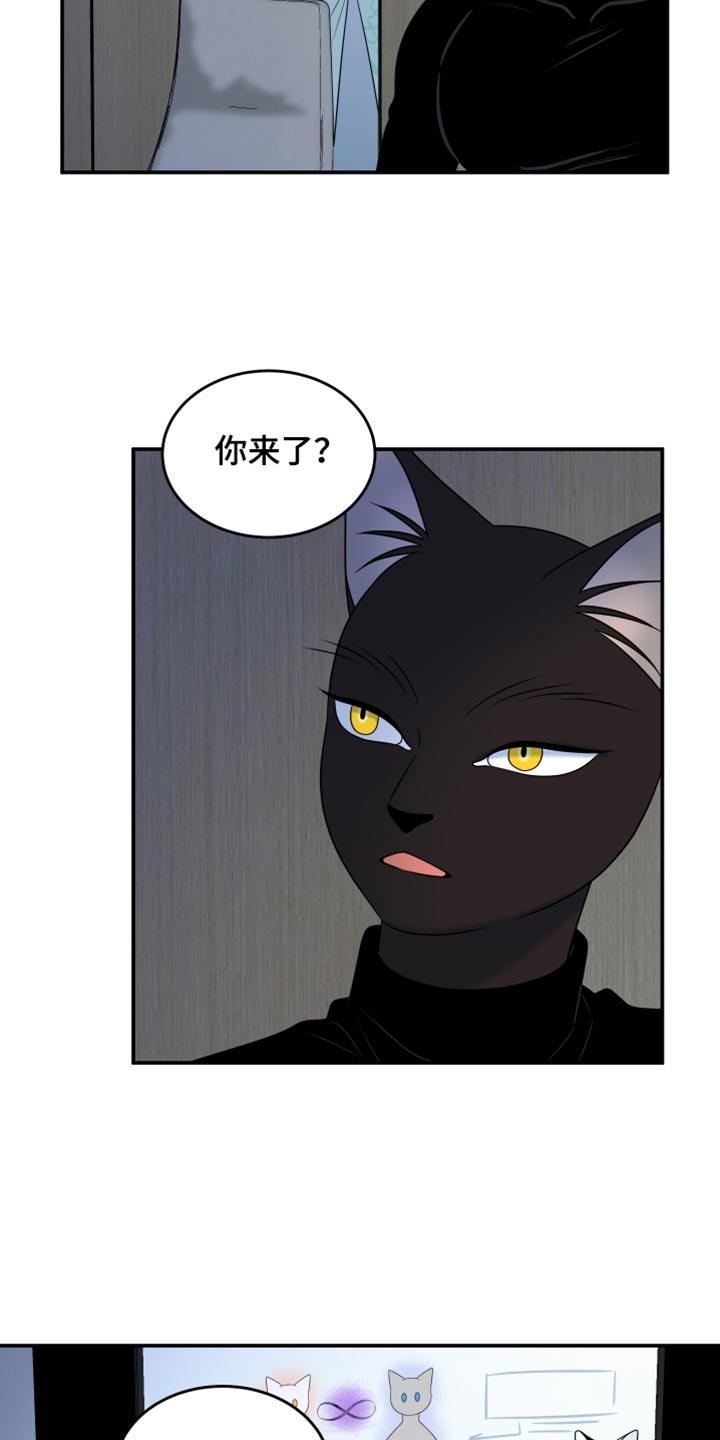 灵猫欧米伽第三季什么时候出漫画,第120话1图