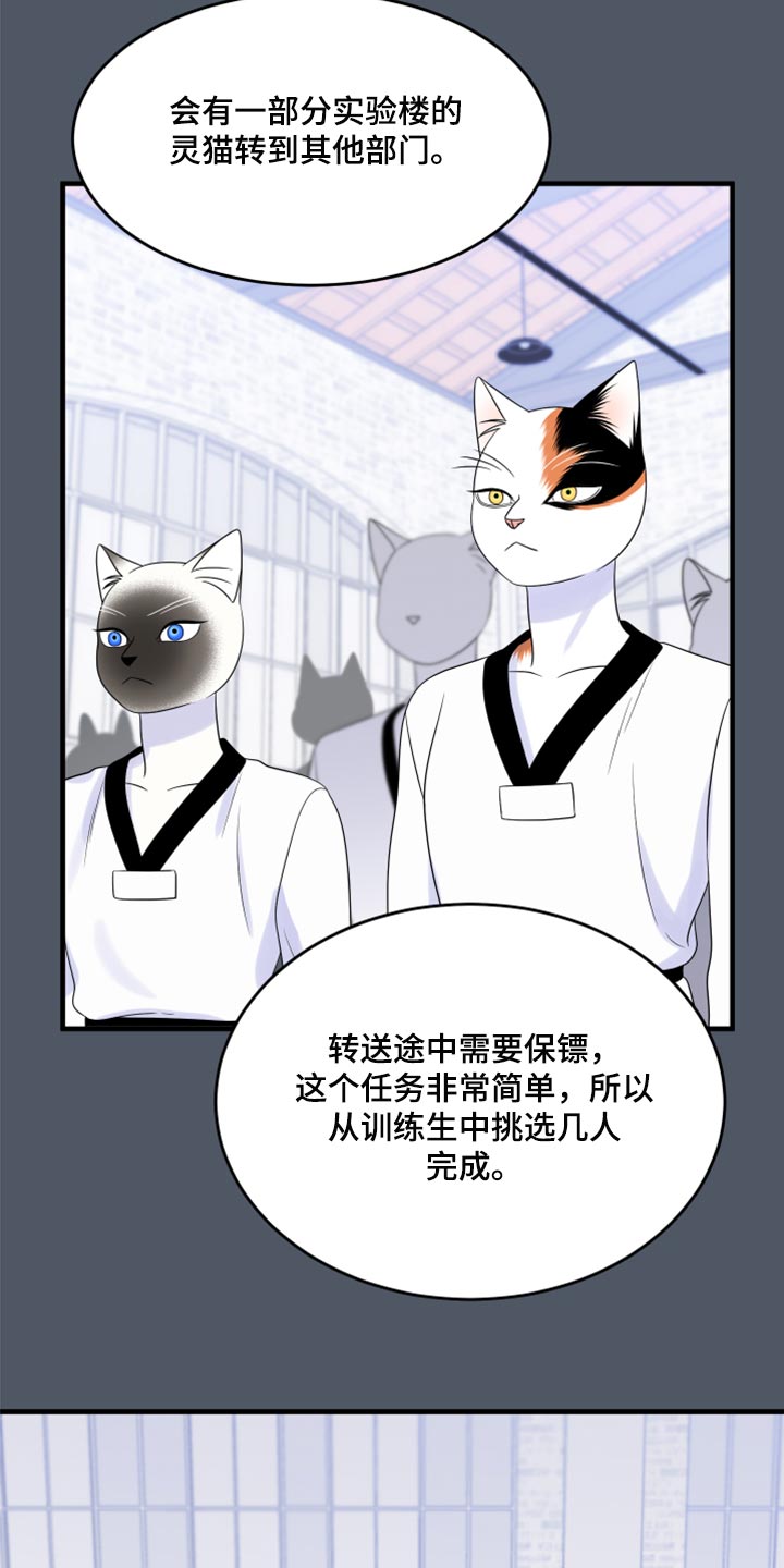 灵猫欧米伽高清漫画,第76话2图