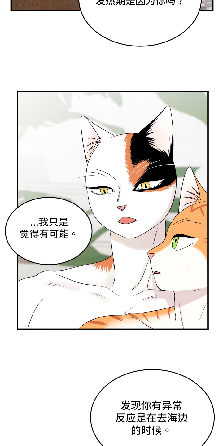 灵猫欧米伽在线免费看漫画漫画,第105话1图