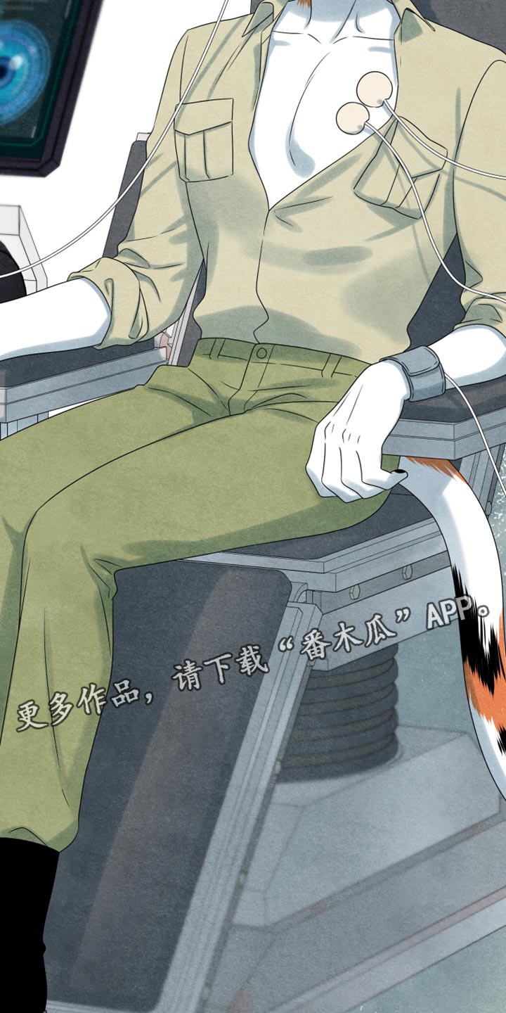 灵猫欧米伽漫画,第158话1图