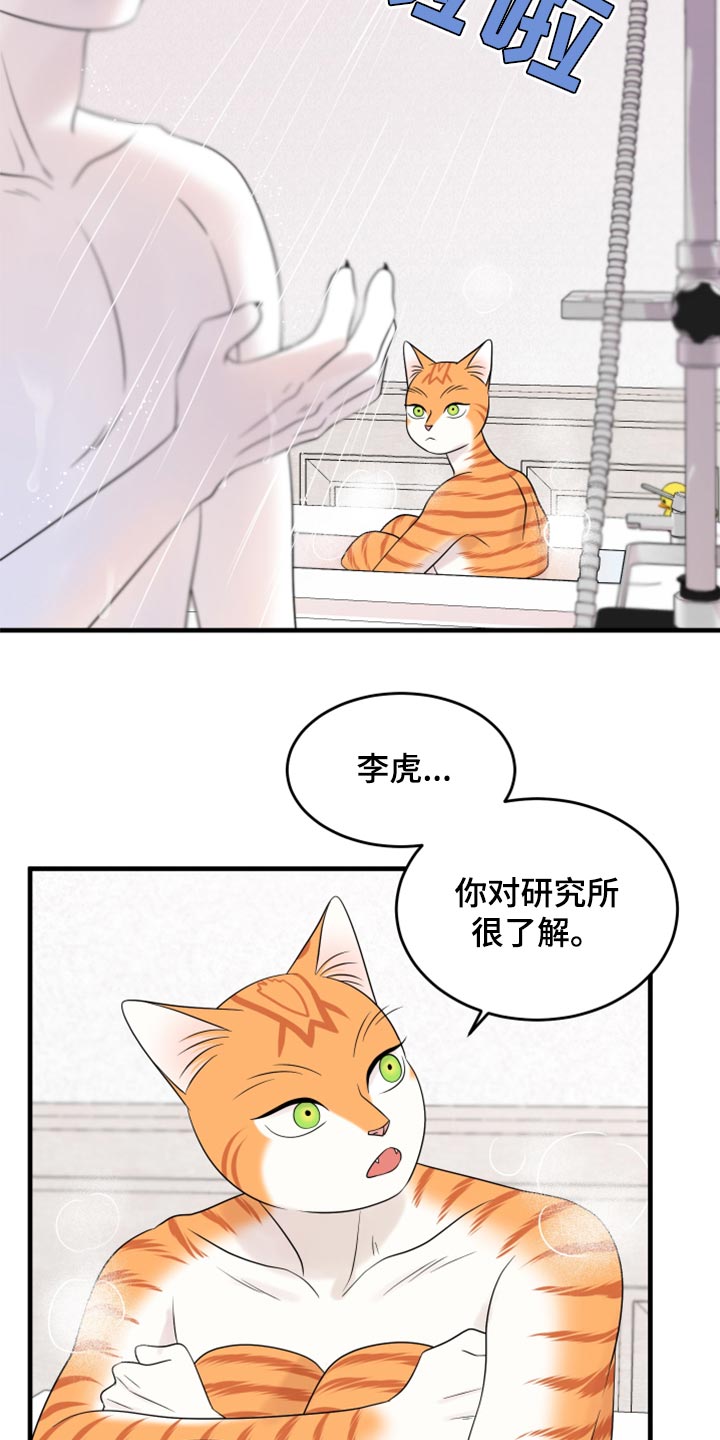 灵猫欧米伽什么时候更新第三季漫画,第69话2图