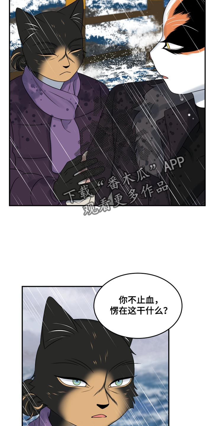 灵猫小说漫画,第113话2图