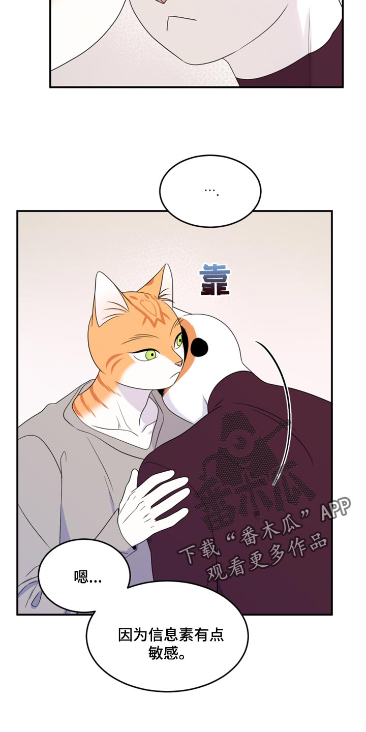 欧米伽3对猫的作用漫画,第55话1图