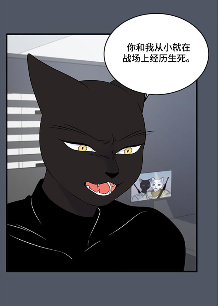 灵猫欧米伽第三季什么时候出漫画,第78话2图