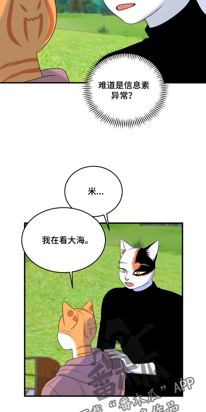 灵猫欧米伽完整版漫画,第90话1图