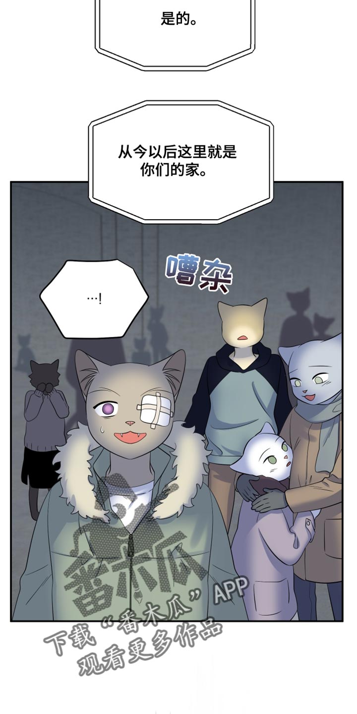 灵猫欧米伽大结局漫画,第149话2图