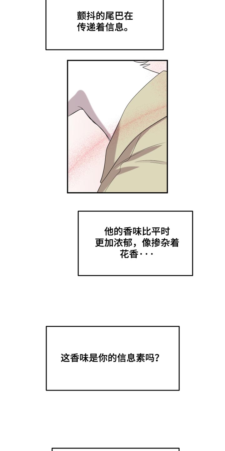 灵猫欧米伽高清漫画,第152话2图