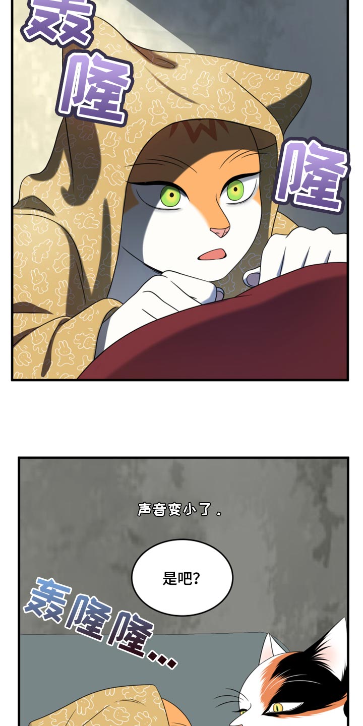 灵猫欧米伽漫画在哪看漫画,第89话2图