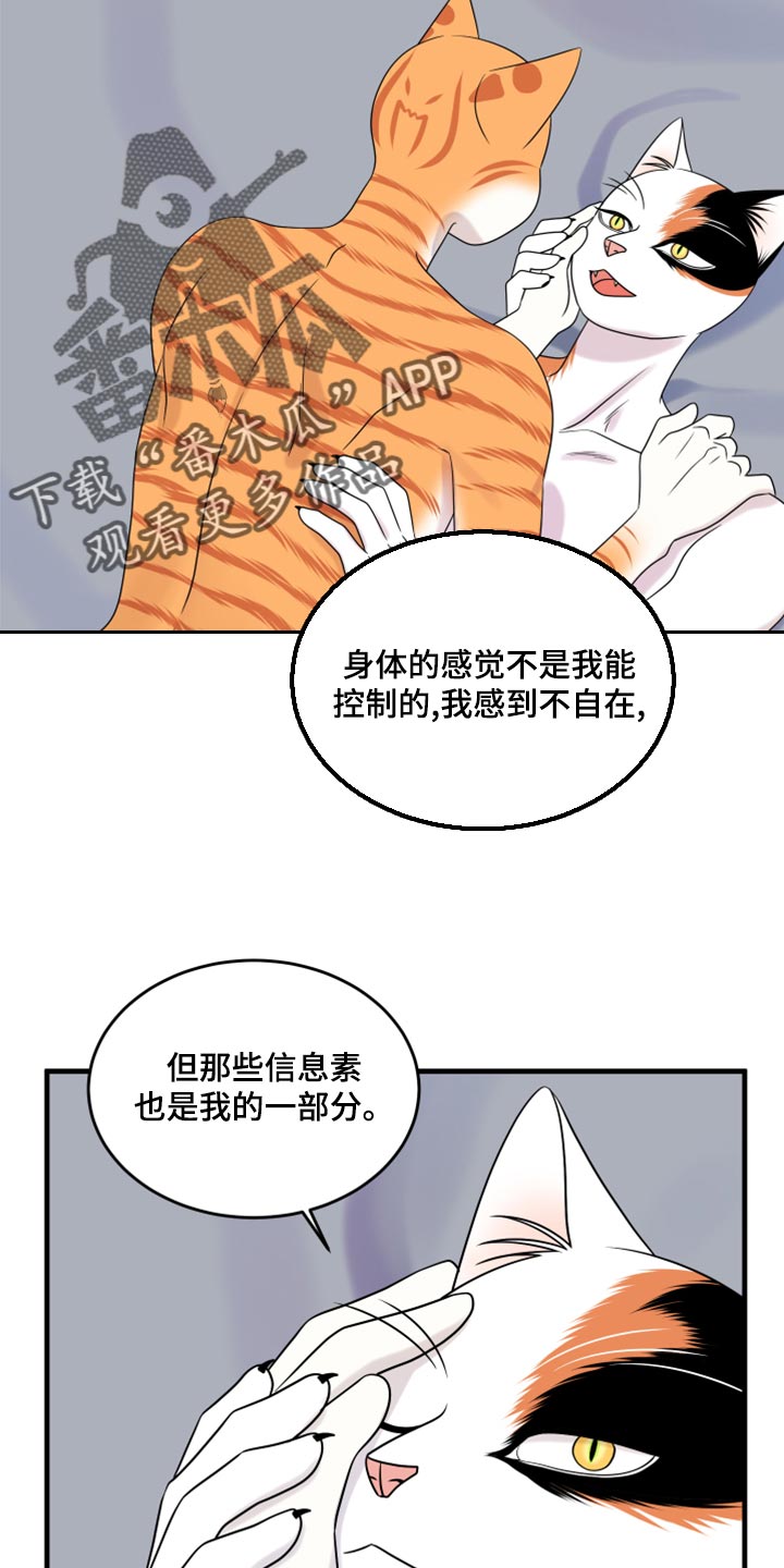 灵猫欧米伽漫蛙叫什么漫画,第92话2图