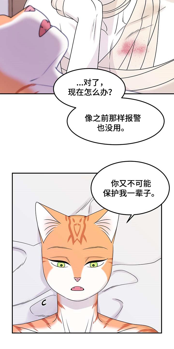 灵猫欧米伽是双男主吗漫画,第48话2图