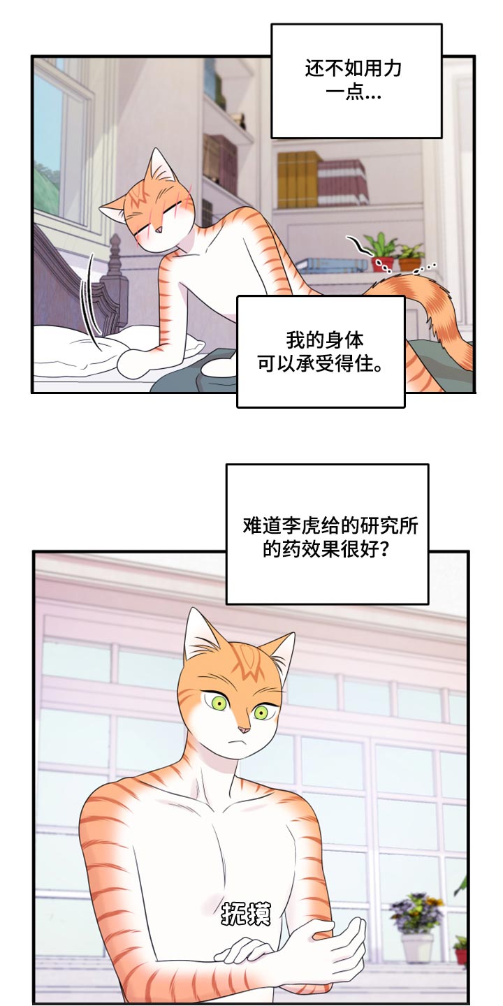 灵猫传歌曲漫画,第73话2图