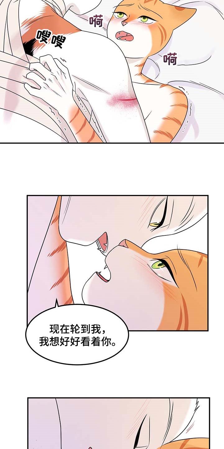 灵猫科和猫科的区别漫画,第47话2图