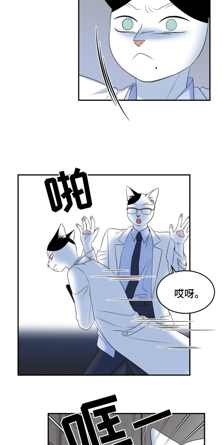 灵猫欧米伽视频漫画,第121话2图