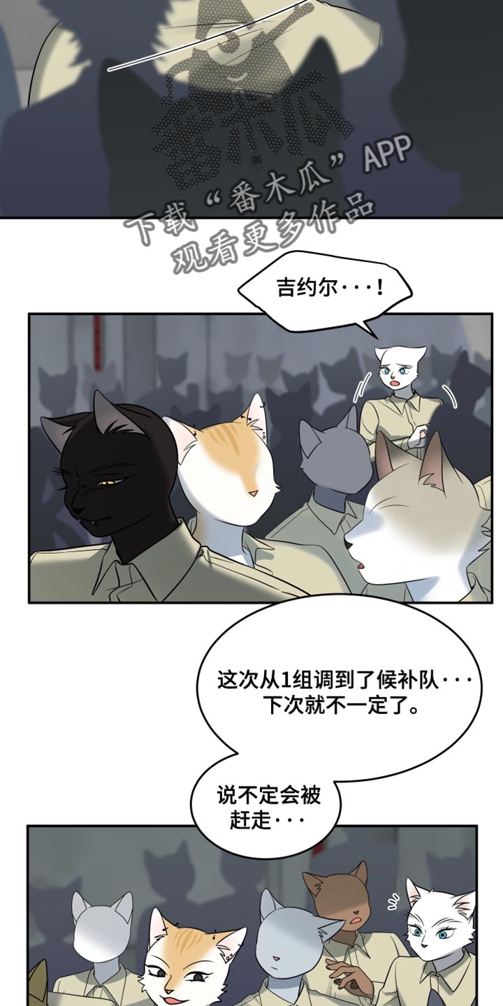 漫画灵猫欧米伽漫画,第151话1图