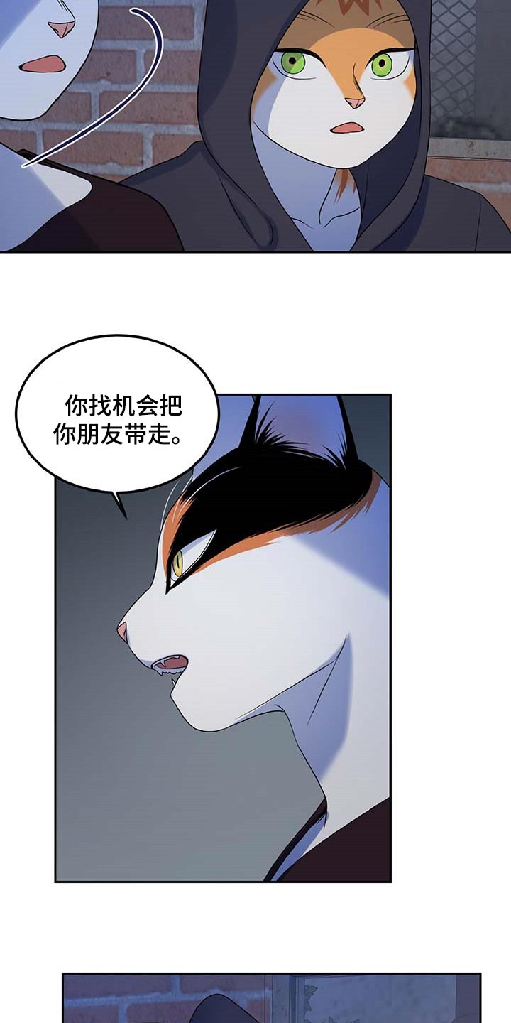 灵猫欧米伽什么时候更新第三季漫画,第37话2图