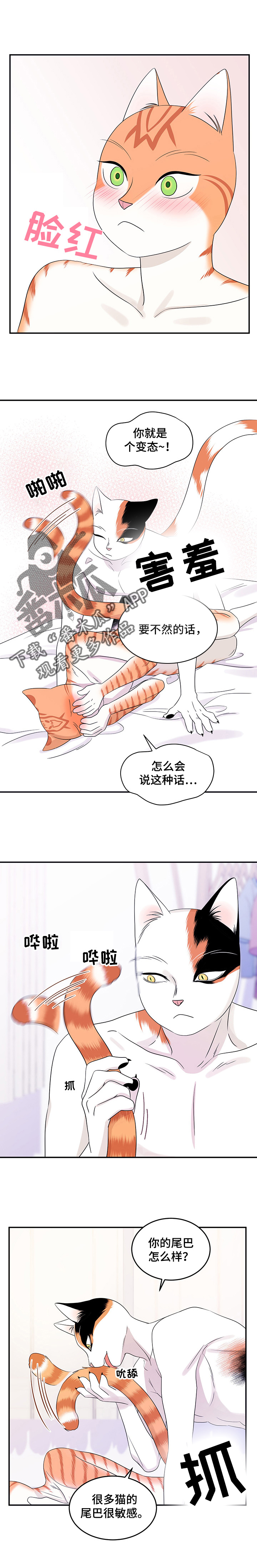 灵猫欧米伽第三季什么时候出漫画,第12话1图