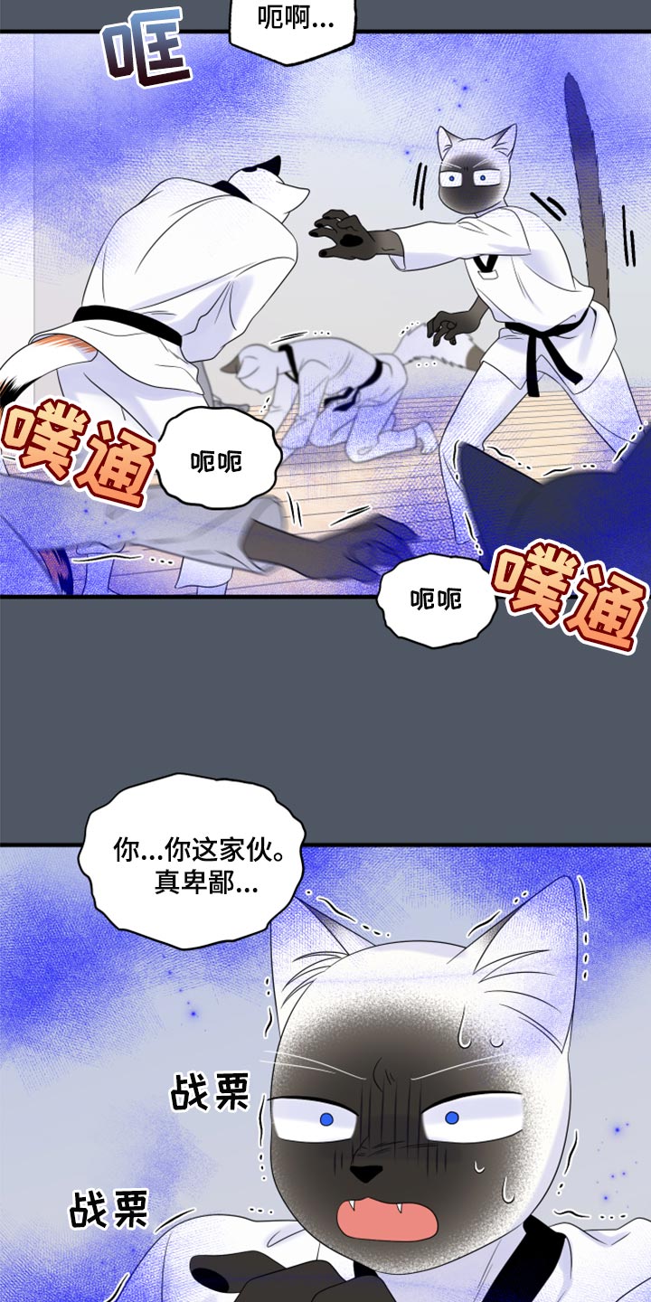 灵猫小说漫画,第76话2图