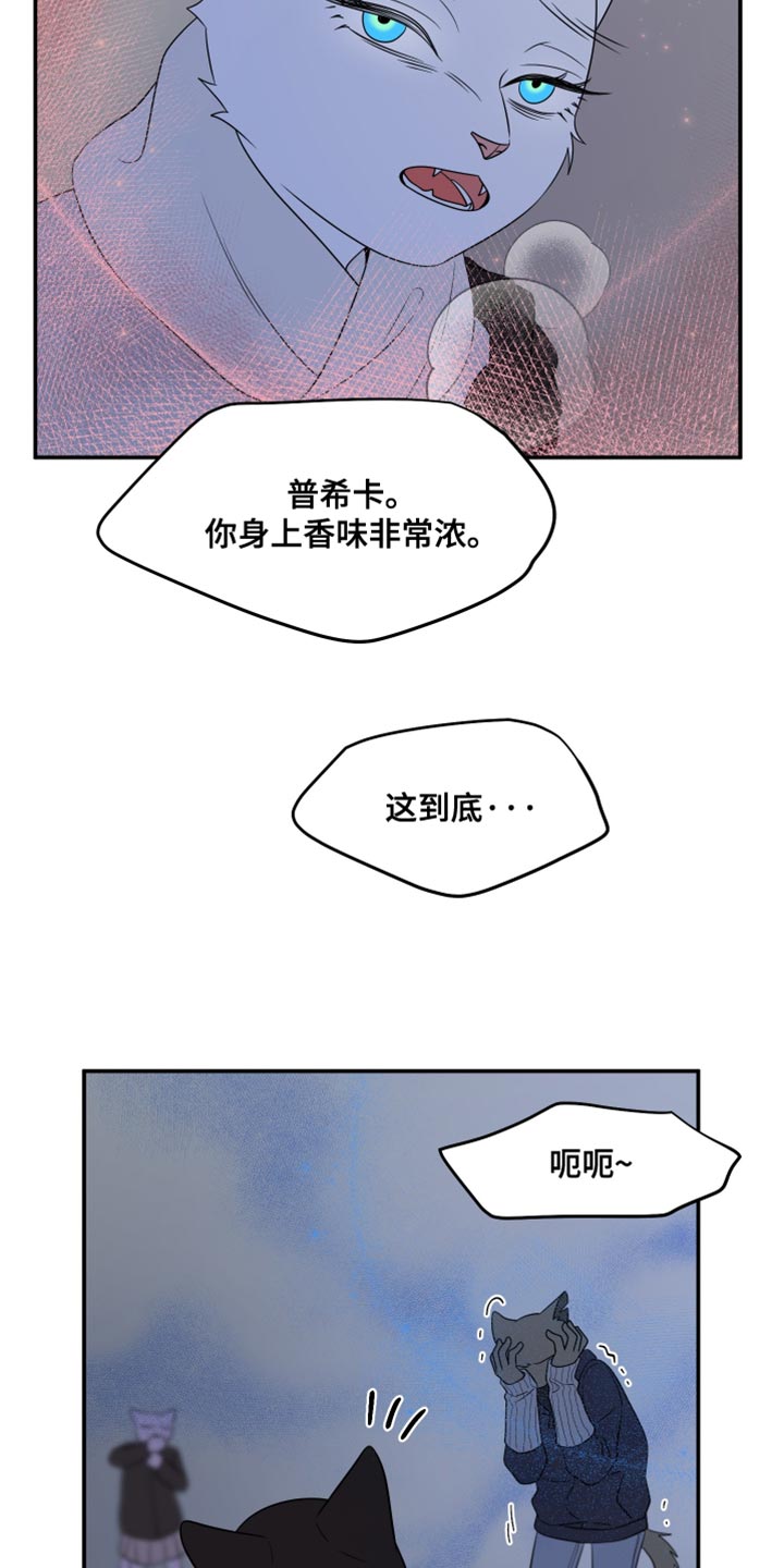 灵猫欧米伽漫画免费漫画,第148话1图